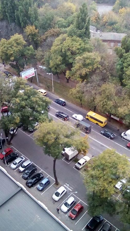 Альтаир オデッサ エクステリア 写真